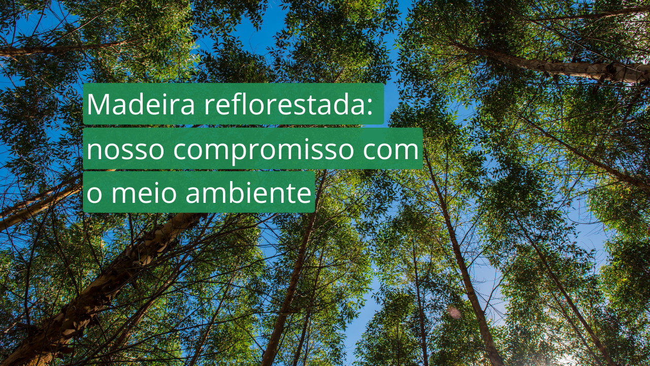 Madeira reflorestada, madeira de reflorestamento
